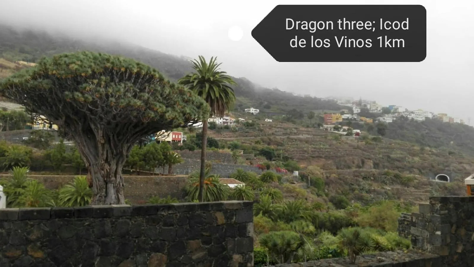 Privatunterkunft Los Geranios N.25 Icod De Los Vinos